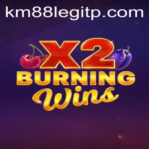 Burning Wins X2: Unveiling Gameplay and Dynamics